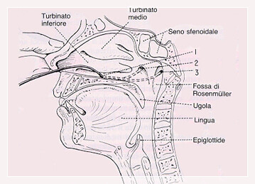 Insufflazioni, insufflazione